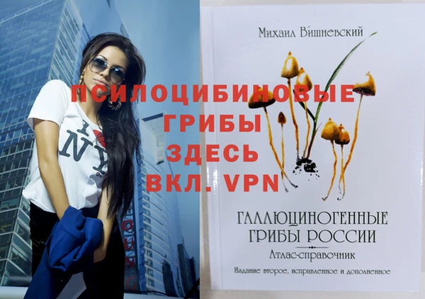 круглые Алзамай