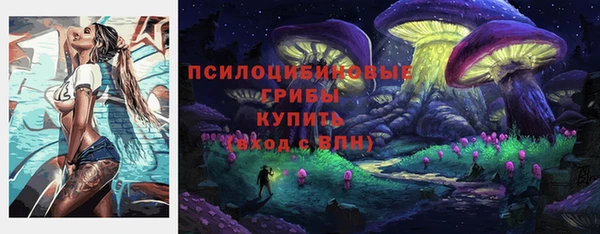 круглые Алзамай