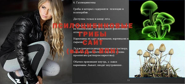 круглые Алзамай