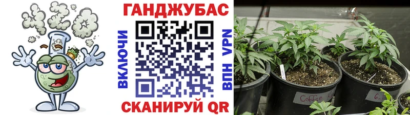 наркошоп  Заволжск  Бошки марихуана тримм 